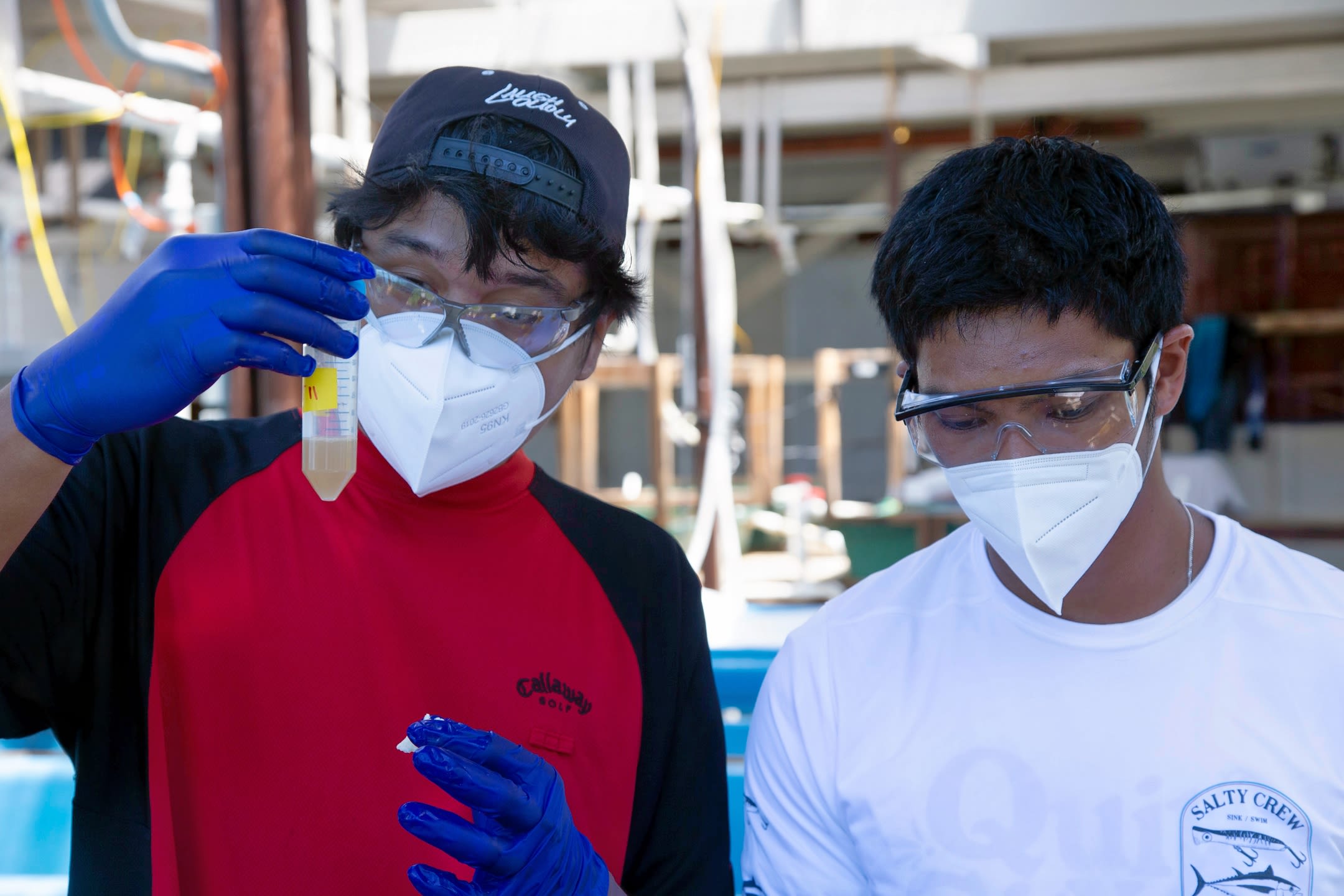 Palau Community College students examine coral tissue for DNA analysis at Palau International Coral Research Center in Koror, Palau. 