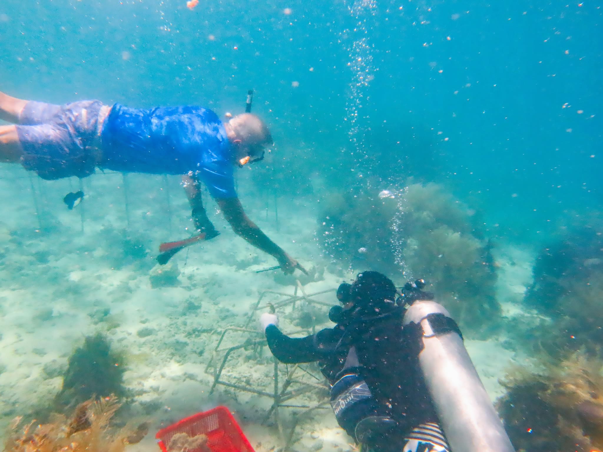 Stanford University marine biologist Dr. Steve Palumbi and Palau Coral Champion secure coral reef nursery structures in Palau.
