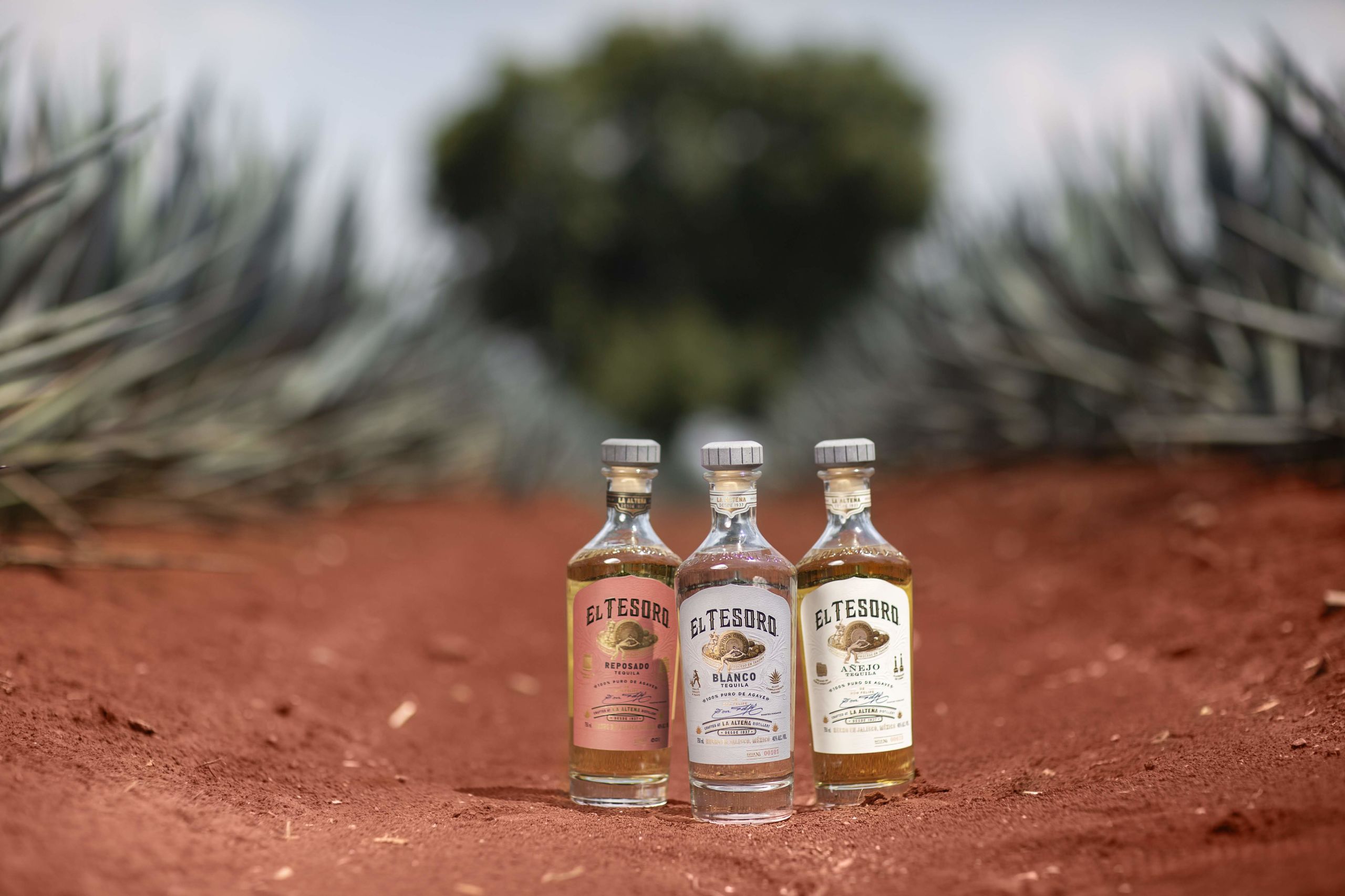 El Tesoro tequila