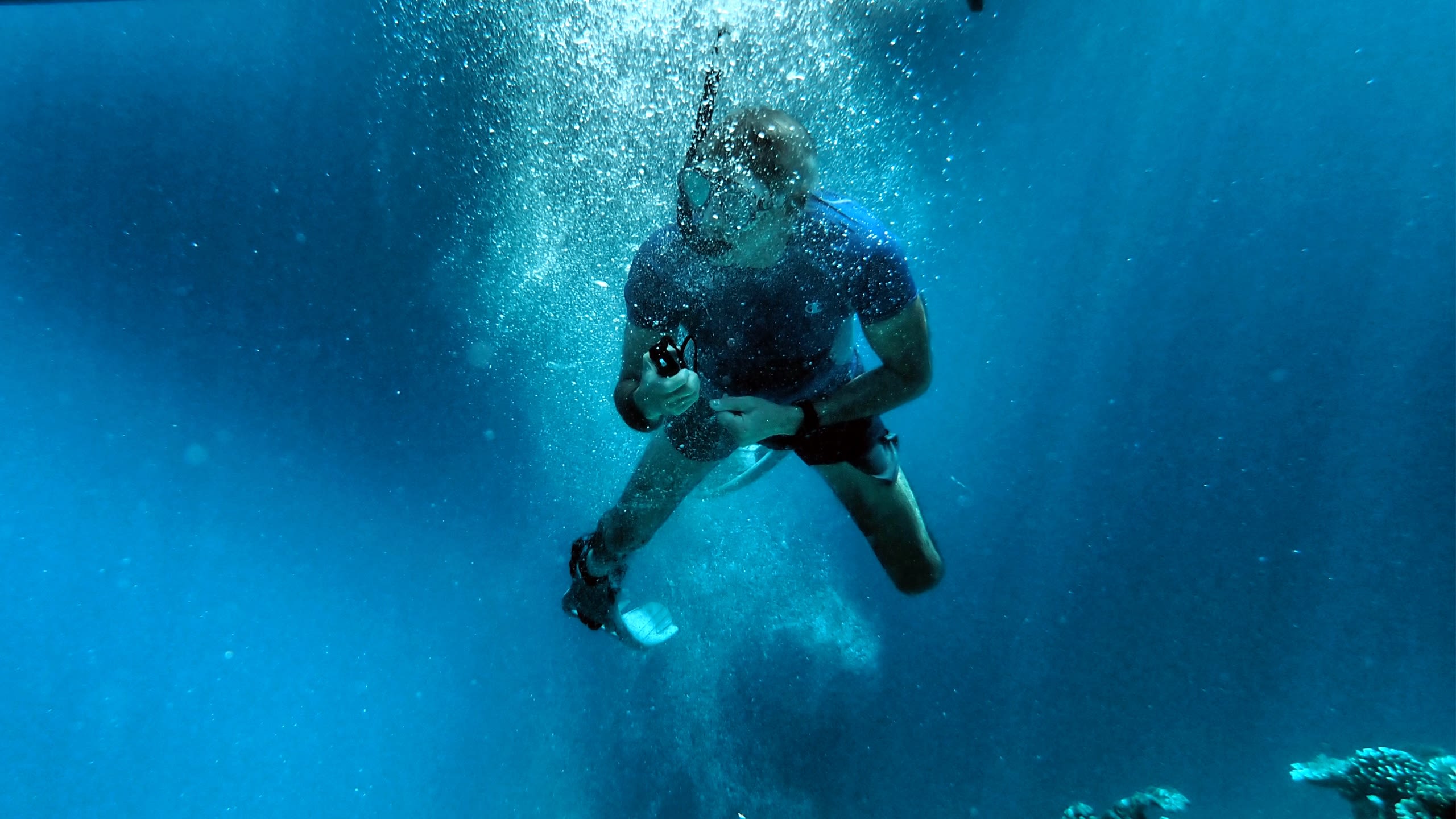 Stanford University Hopkins Marine Station in Palau - underwater photography